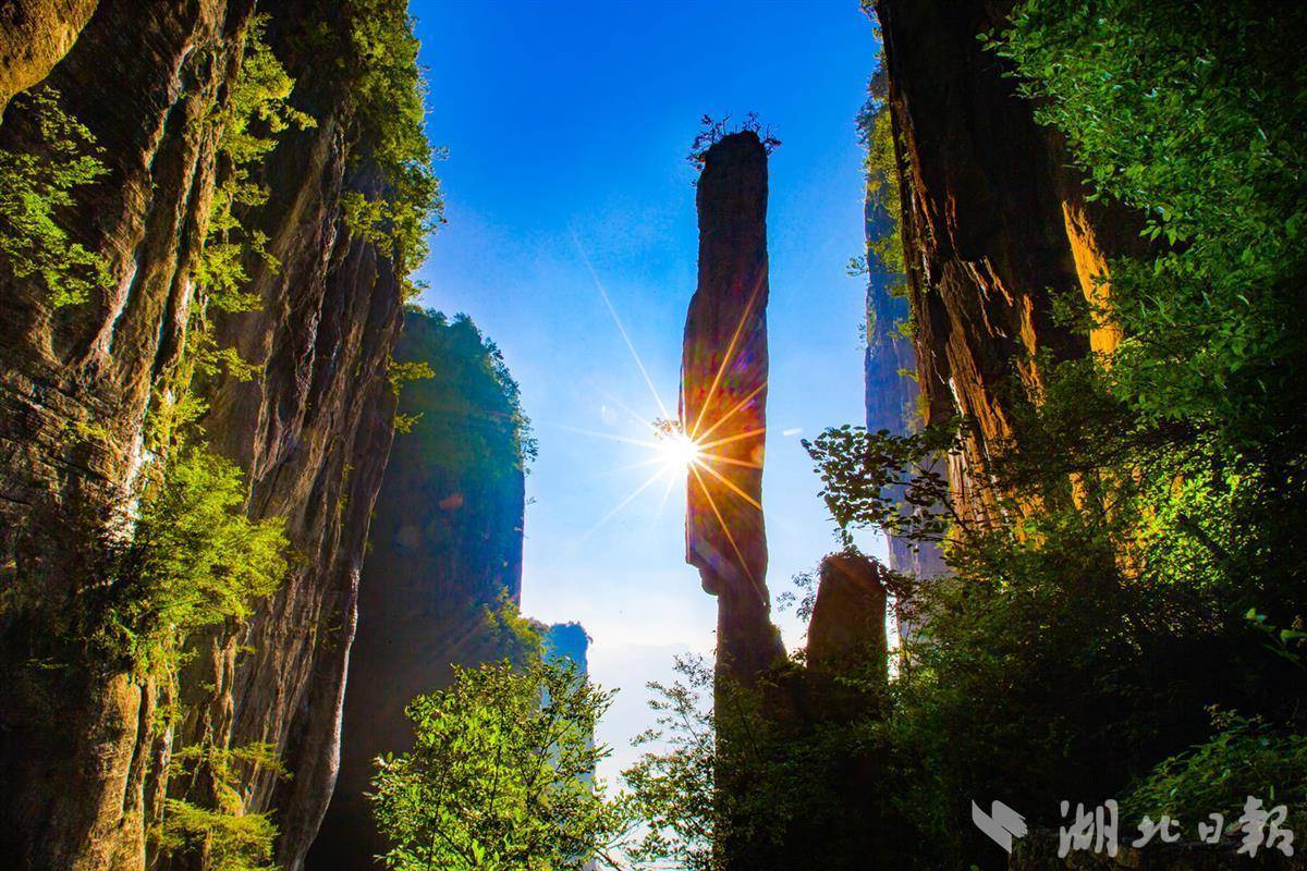 博越娱乐平台登录地址